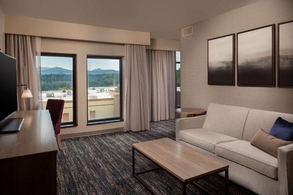 Hilton Asheville Biltmore Park Image 10