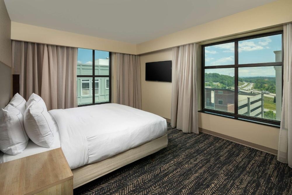 Hilton Asheville Biltmore Park Image 17