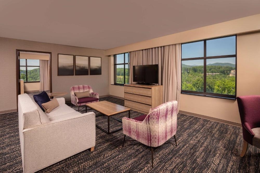 Hilton Asheville Biltmore Park Image 21