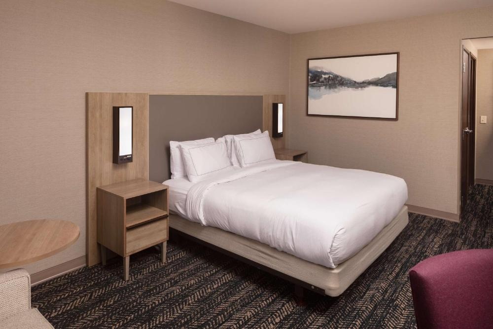 Hilton Asheville Biltmore Park Image 34