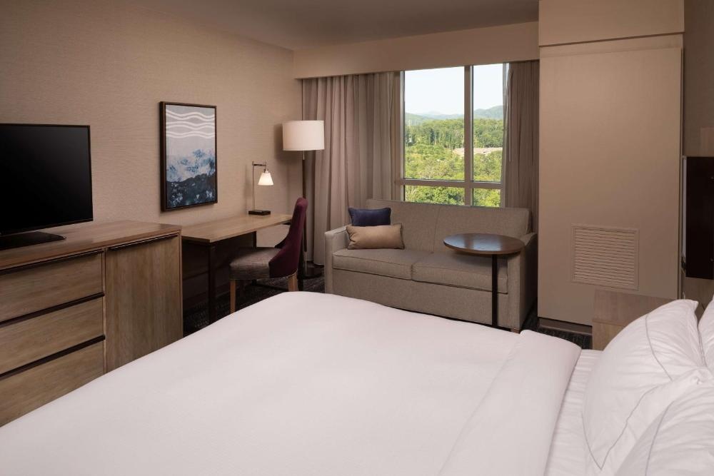 Hilton Asheville Biltmore Park Image 35
