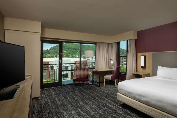 Hilton Asheville Biltmore Park image 32