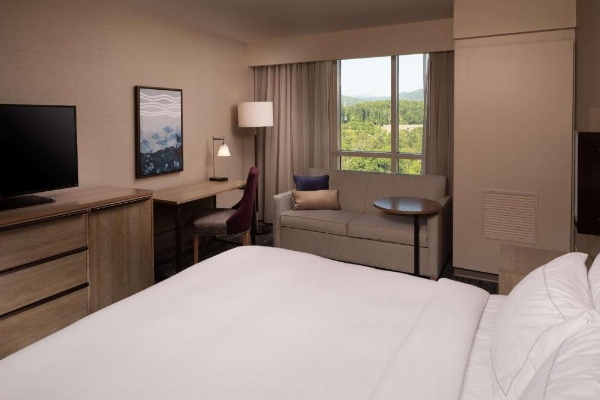 Hilton Asheville Biltmore Park image 35